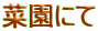 �؉��ɂ�